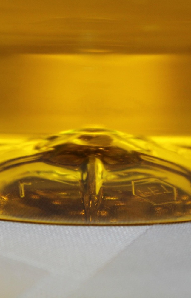 Caceres Organic Olive Oil